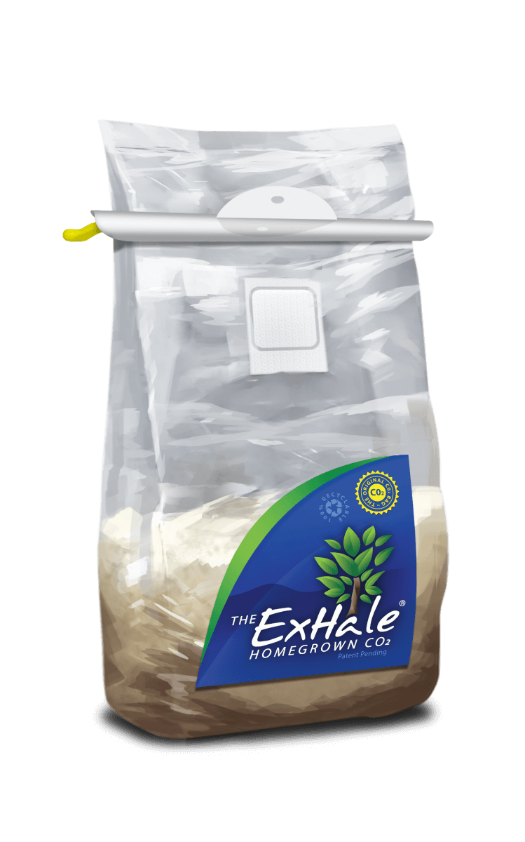 Exhale CO2 Bag