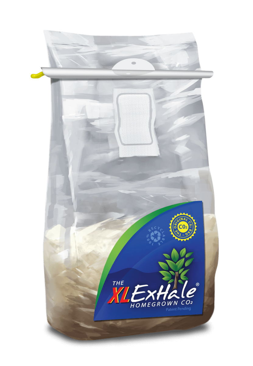 Exhale XL CO2 Bag
