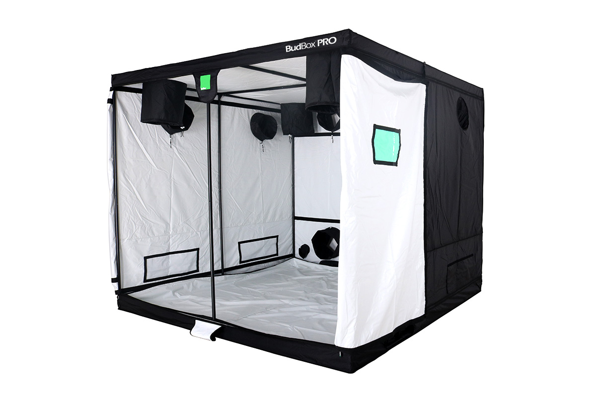 BudBox 2.4x2.4x2 Titan Plus
