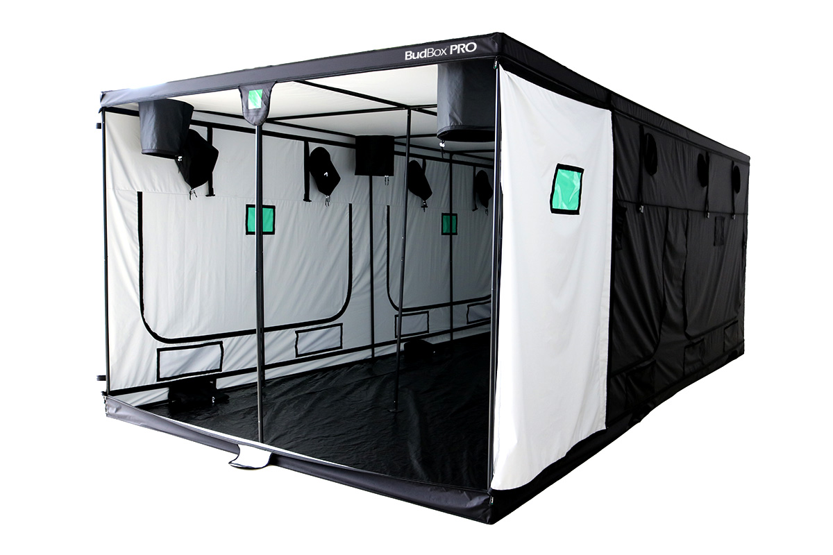 BudBox 600x300x220 Titan 6
