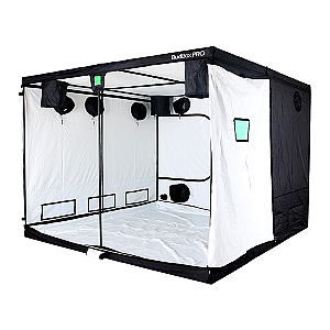 BudBox 300x300x220 Titan 3 HL