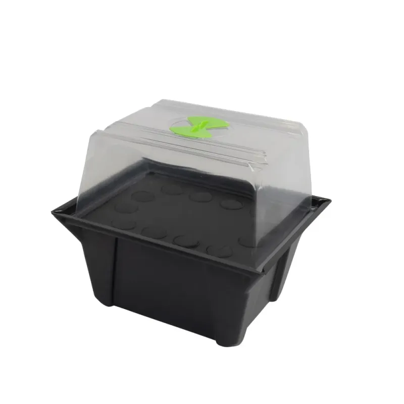 X-Stream 12 Site Propagator