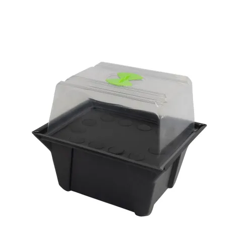 X-Stream 12 Site Propagator
