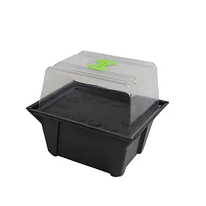 X-Stream 12 Site Propagator
