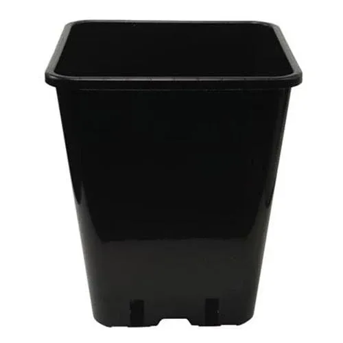 0.5L Square Pot
