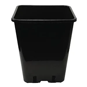 0.5L Square Pot