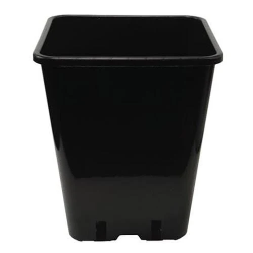 0.5L Square Pot
