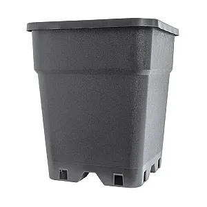 11L Square Pot