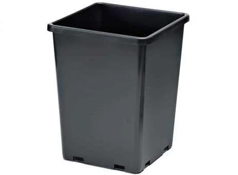 6L Square Pot