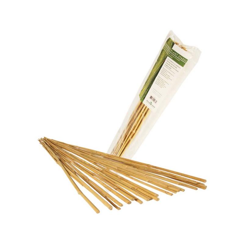 Bamboo Cane 1.5m (25 Pack)
