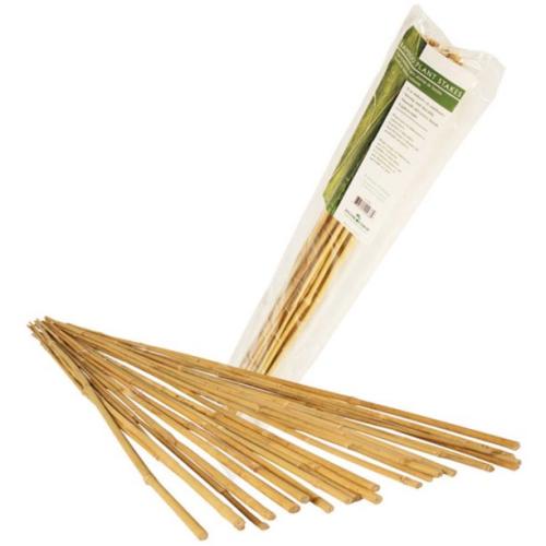 Bamboo Cane 1.5m (25 Pack)