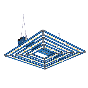 Daylight PRO LED 300w