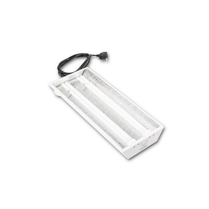 PL2 Propagation Light