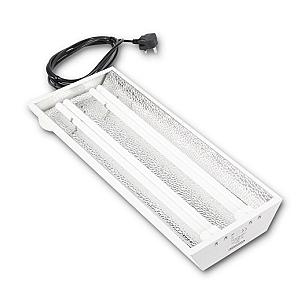 PL2 Propagation Light