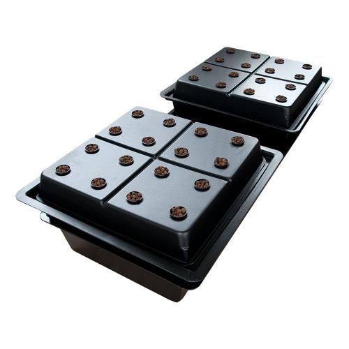 Twin Amazon 64 Pot