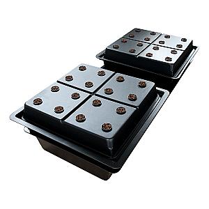 Twin Amazon 64 Pot