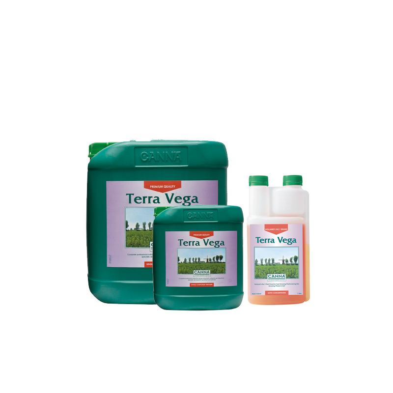 Canna Terra Vega