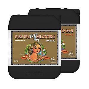Sensi Coco Bloom 4L