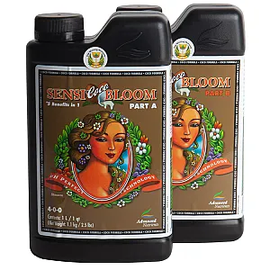 Sensi Coco Bloom 1L