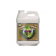 Big Bud Coco 5L