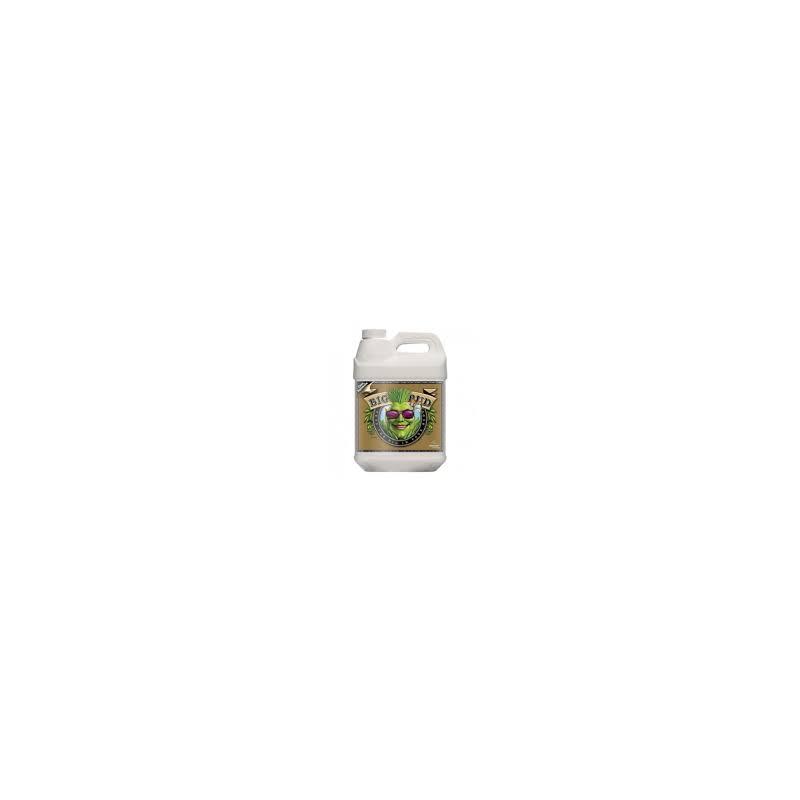 Big Bud Coco 5L