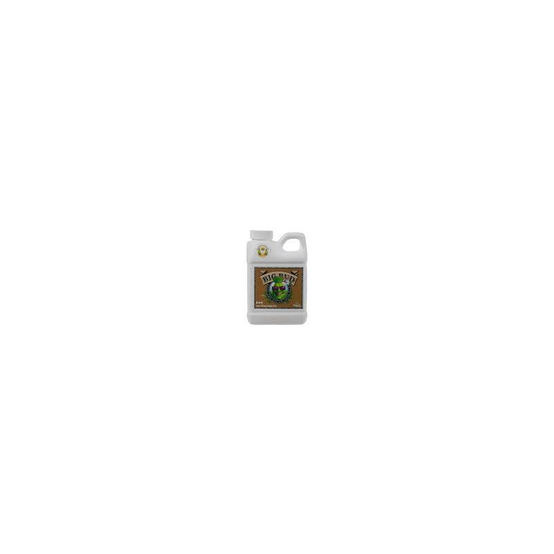 Big Bud Coco 250ml