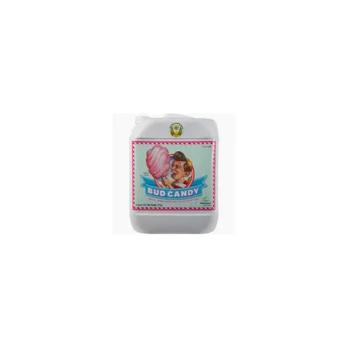 Bud Candy 5L