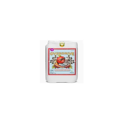 Overdrive 5L