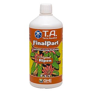 TA Final Part 1L