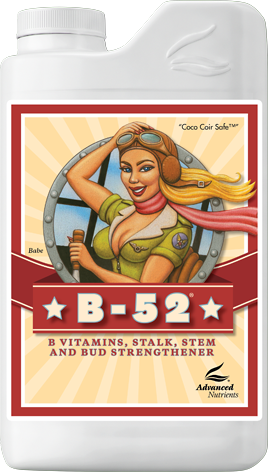 B52 1L