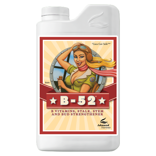 B52 1L