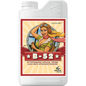 B52 1L