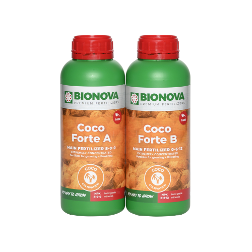 BN Coco Forte A&B 1L