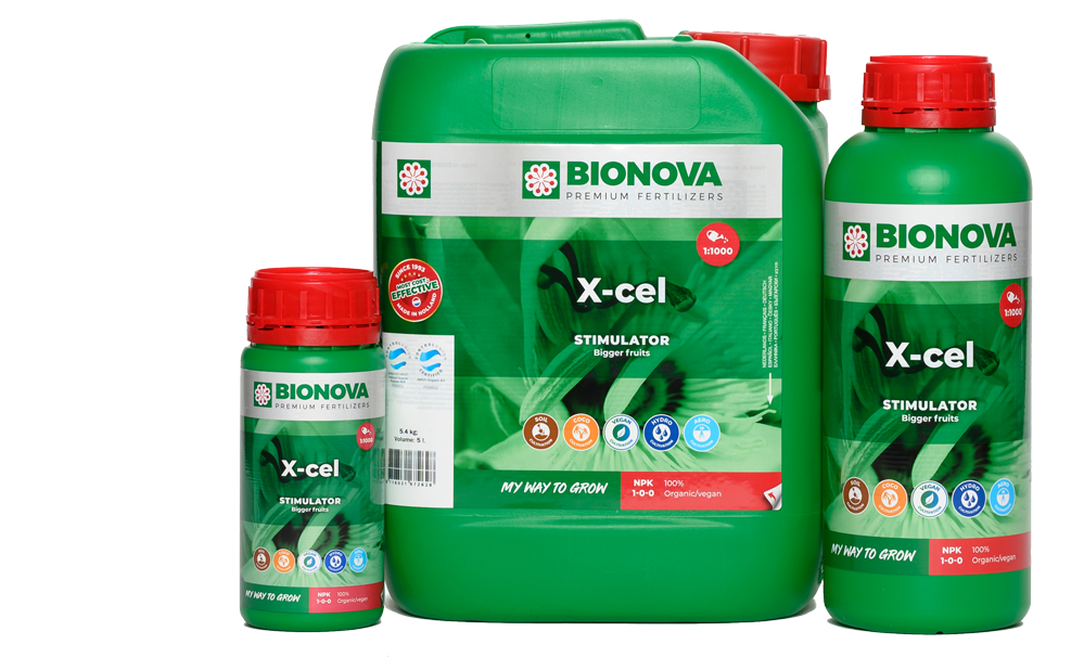 BN X-Cel Pro 5L