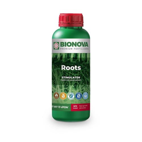 BN Roots 1L