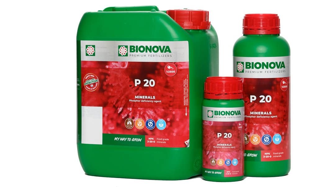 BN P 250ml
