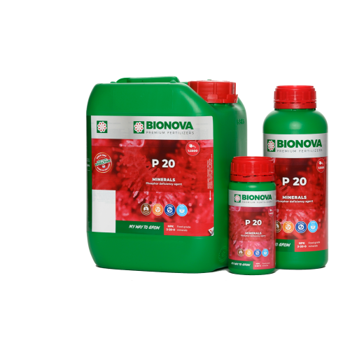 BN P 250ml