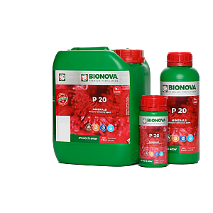 BN P 250ml
