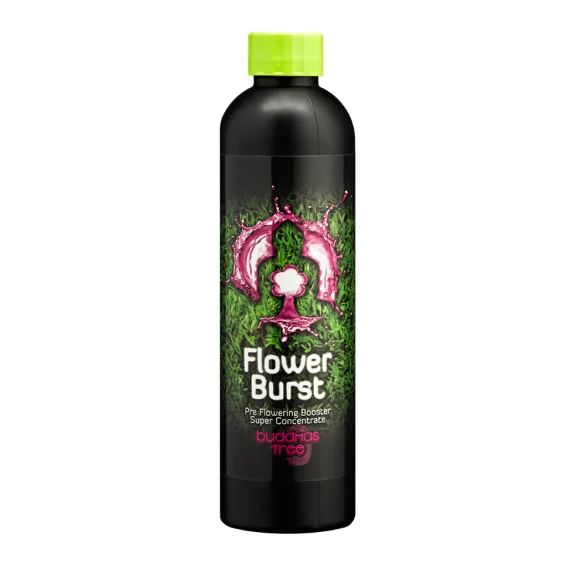Buddhas Tree Flower Burst 250ml
