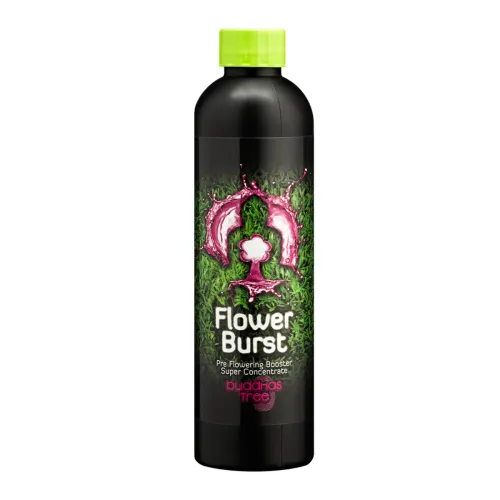 Buddhas Tree Flower Burst 250ml