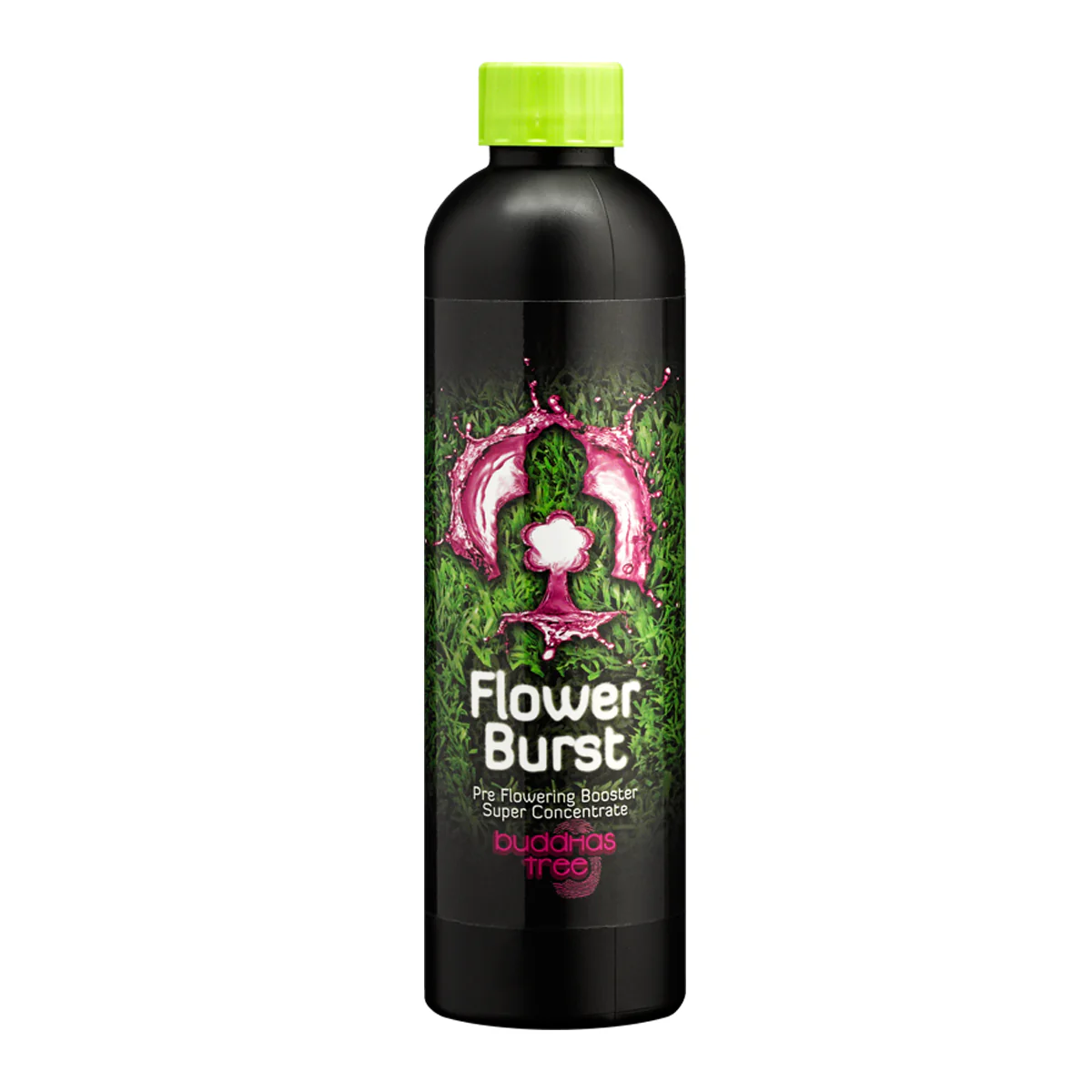 Buddhas Tree Flower Burst 250ml