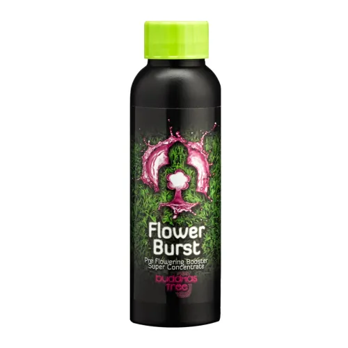 Buddhas Tree Flower Burst 100ml