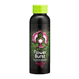 Buddhas Tree Flower Burst 100ml