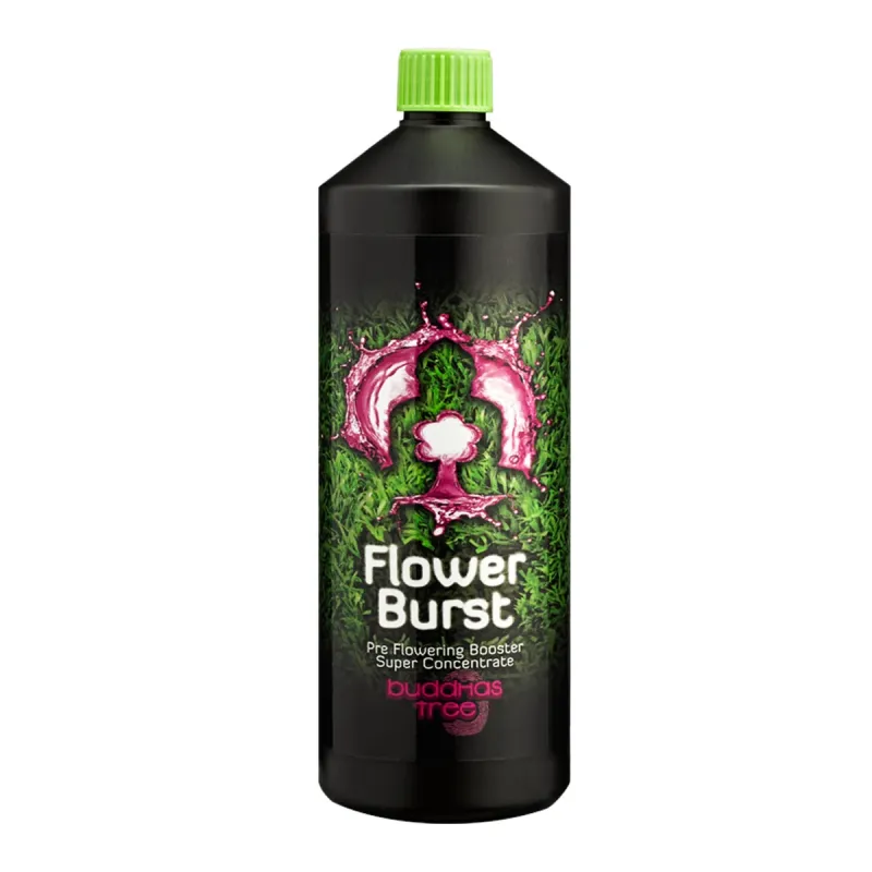 Buddhas Tree Flower Burst 1L