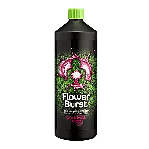 Buddhas Tree Flower Burst 1L