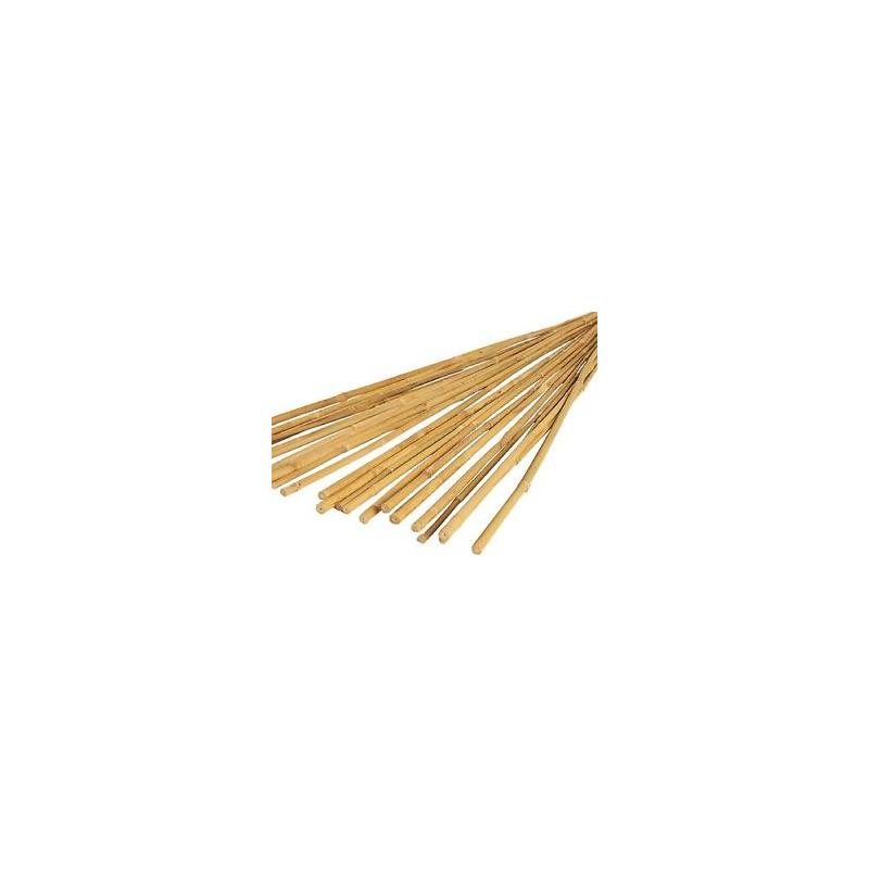 Bamboo Cane 1.2m (10 Pack)
