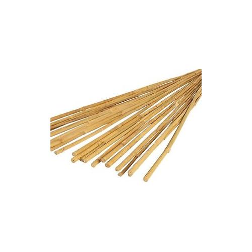 Bamboo Cane 1.2m (10 Pack)