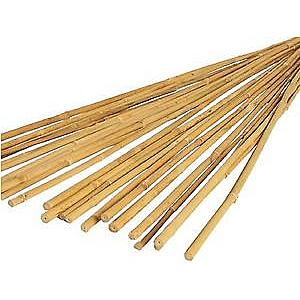 Bamboo Cane 1.2m (10 Pack)