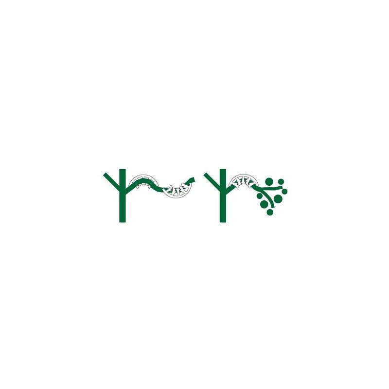 Bendz Plant Benders