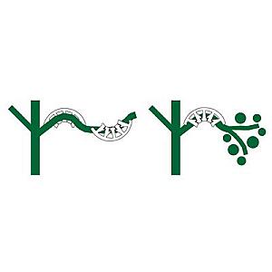 Bendz Plant Benders